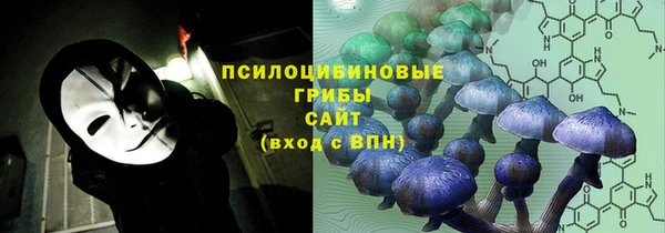 крисы Магас