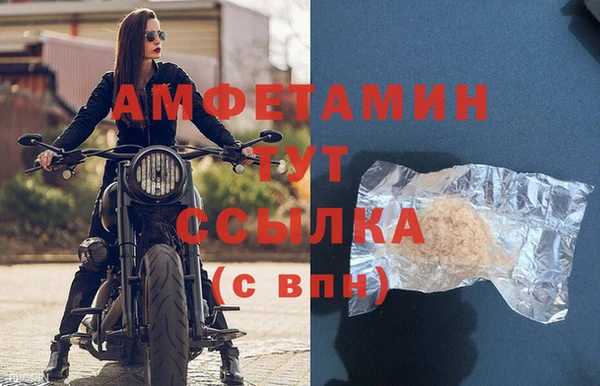 крисы Магас
