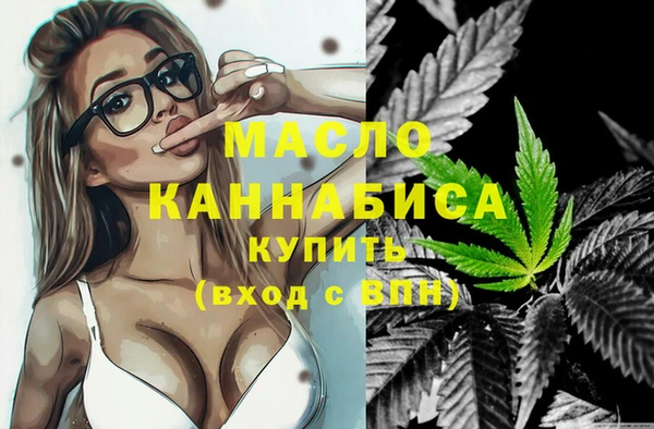 мдпв Вяземский