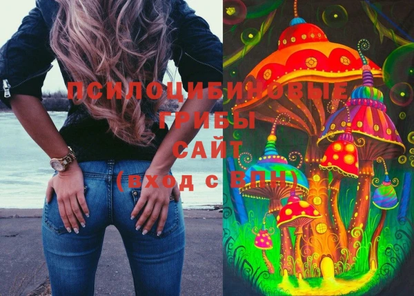 шишки Лихославль